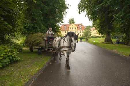 Pferdewagen vor Schloss Lühburg