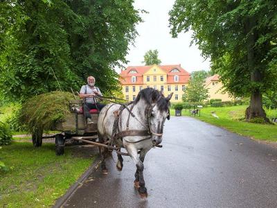 Herzlich-willkommen-auf-Schloss-Lühburg