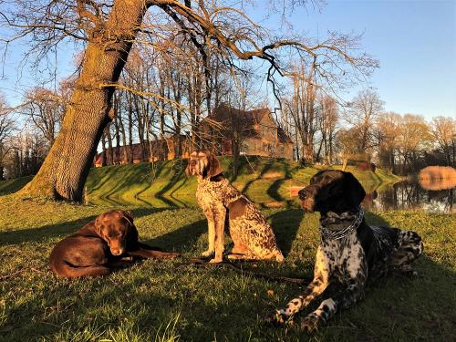 Hunde-sind-willkommen