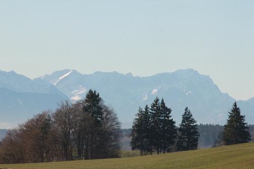 img_6543