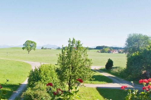 Blick vom Hof