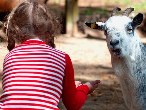 Kind mit Ziege