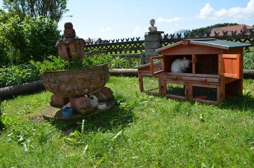 Der (Hasen-)Garten