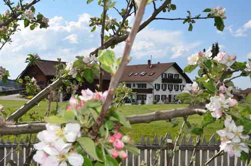 Frühling bei uns...