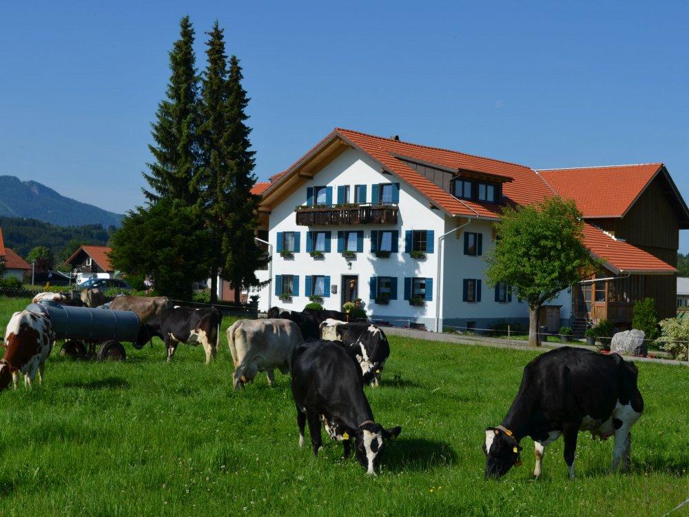 Bauernhof Fritz, Rückholz