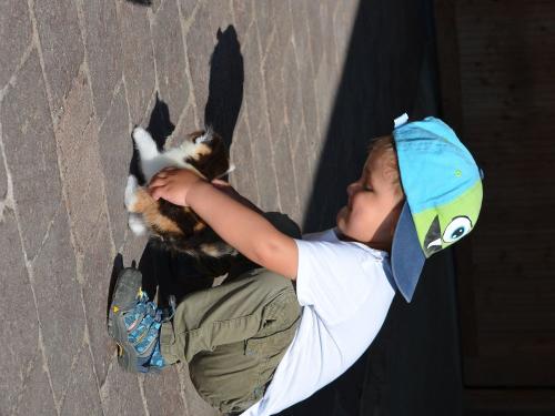 ...freut Euch auf unsere Mietzis