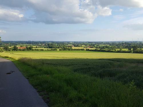 Wiesen und Felder