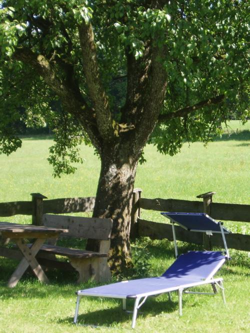 Entspannen unterm Birnbaum