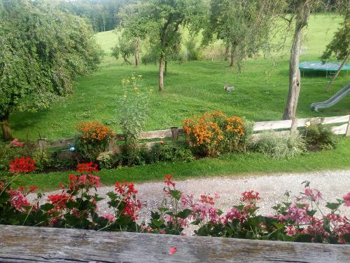 Ausblick vom Balkon