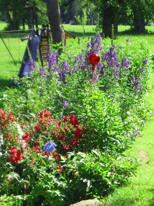 Blütenpracht Blütenpracht