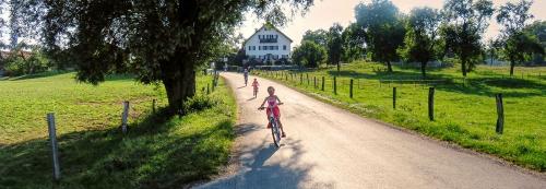 kinibauer_haus-hof_07-247a5c4b