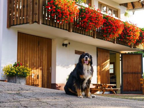 Der Liebling aller Gäste