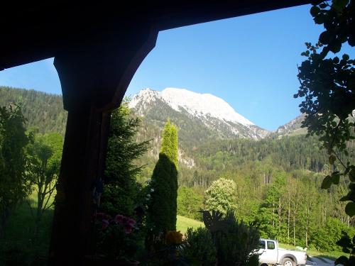 Blick zum Hohen Brett vom Koppensteinlehen