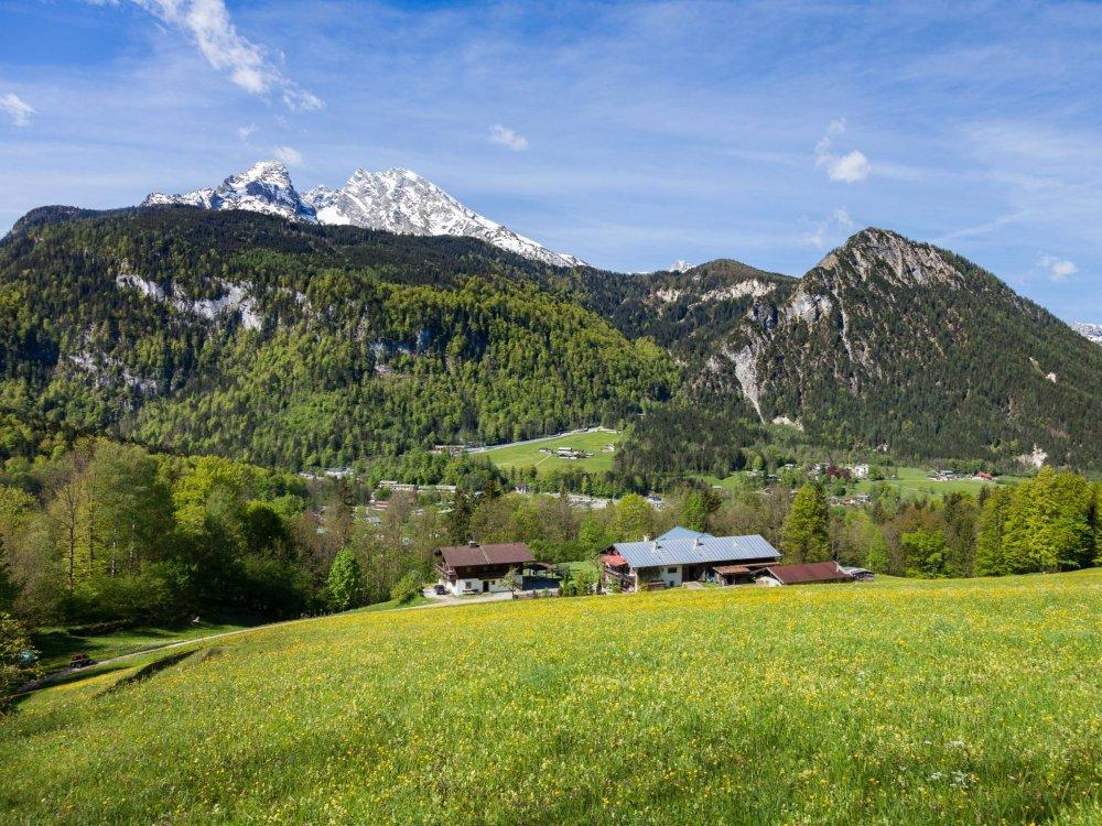 Koppensteinlehen m. Watzmann u. Grünstein
