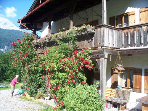 Rosenblüte am Bauernhaus Koppensteinlehen