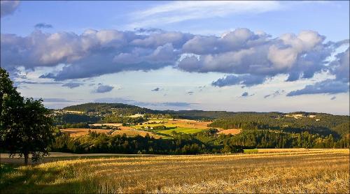 Landschaft