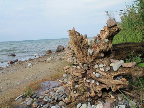 Naturstrand Warnkenhagen