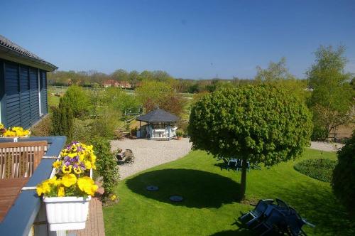 Blick vom Balkon Stranddüne und Silbermöwe