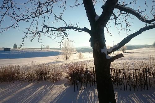 Winter bei uns am Hof