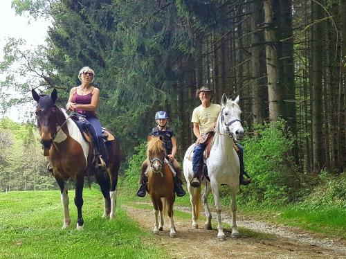 Ausritt bei uns