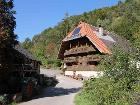 hasenhof
