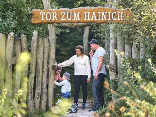 Wandern im Nationalpark Hainich