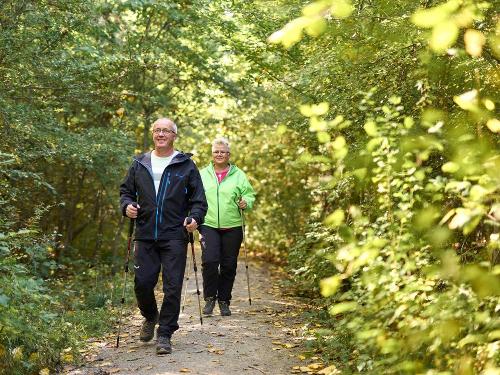 Nordic-Walking im Nationalpark Hainich