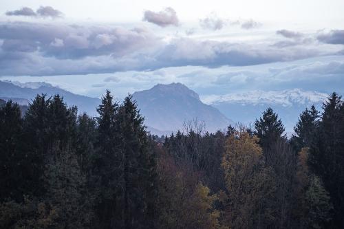 bild3