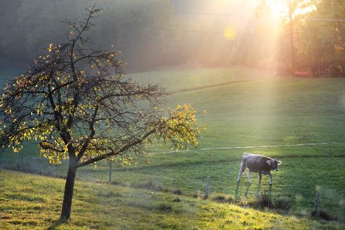 bild8