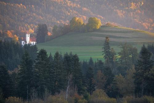 bild9