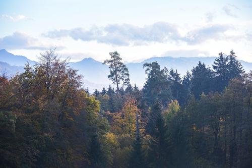 bild1