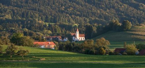 bild15