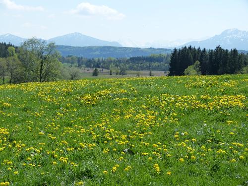 Blick nach Süden