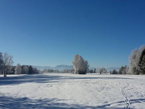 Winterfreuden