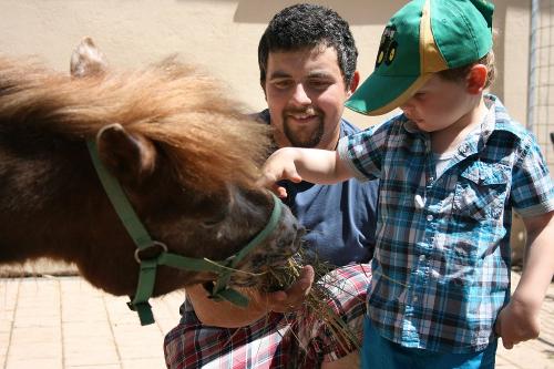 Junge füttert Pony