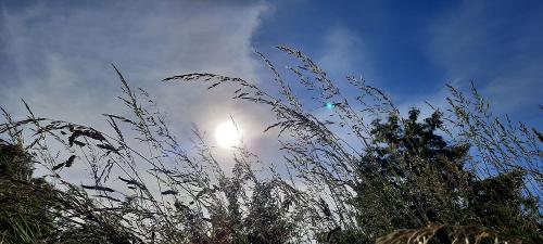 20210615_183401