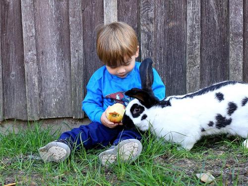 ich teile meinen Apfel mit dir!