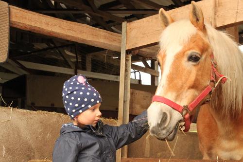 ferienhof_emmert_kind_pferd