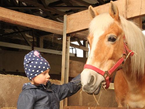 ferienhof_emmert_kind_pferd