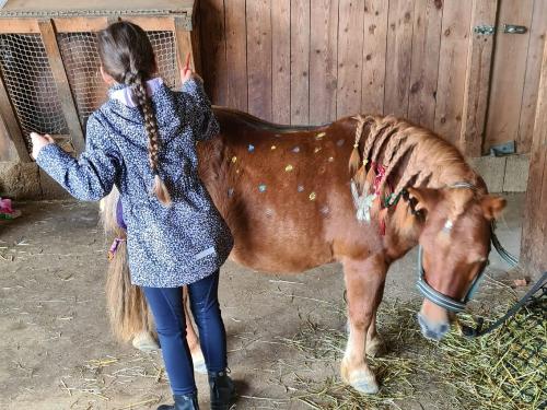 Im Stall wird s richtig bunt!