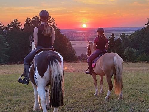 Ausritt mit Sue und Ophilia