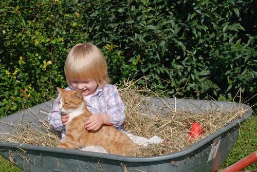galerie_kind-mit-katze06