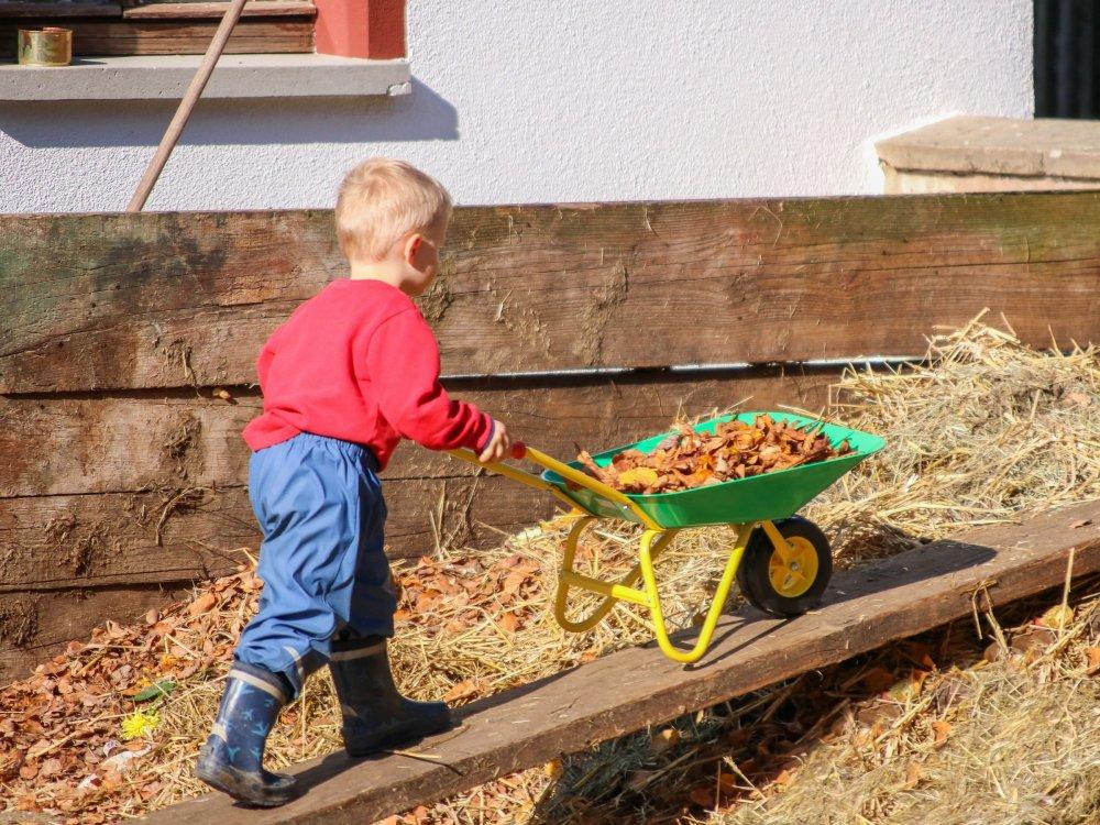 Helft mit kleinen Schubkarren beim Misten