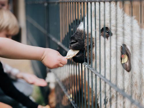 Tiere kennenlernen Tiere kennenlernen