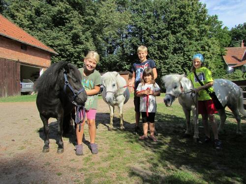 Ponyspaß