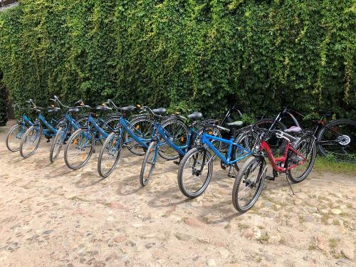 Leihfahrräder