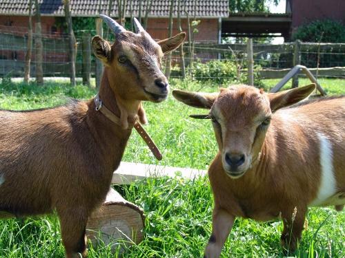 Lotte und Karlchen