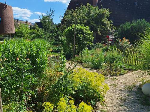Blick in den großen Bauerngarten