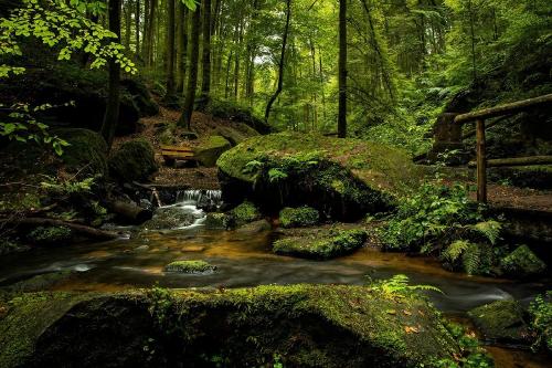 Bachlauf