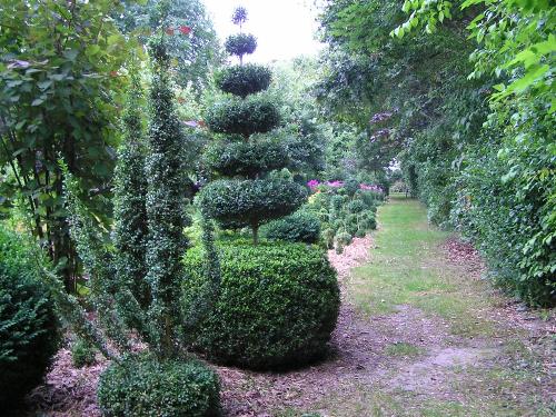 Im Garten